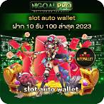 member slot auto wallet